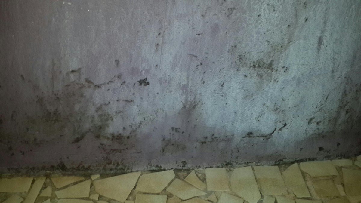 Sikadur-30 dán tấm thép gia cường dầm bê tông
