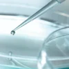 Dowsil 3-4241 | Gel điện môi dai 2 thành phần, chống cháy tốt 12 Thao tác cấp vật liệu silicone